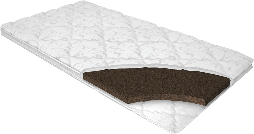 Тайна коко собака порода. Собака из тайны коко порода. Coco triple dog. Тайна коко собака данте. Данте тайна коко.